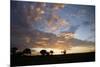 Masai Mara National Reserve, Kenya, East Africa, Africa-Angelo Cavalli-Mounted Photographic Print