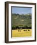 Masai Mara National Reserve, Kenya, East Africa, Africa-Harding Robert-Framed Photographic Print