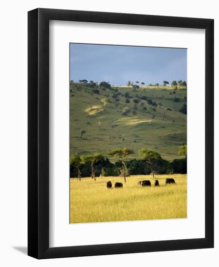 Masai Mara National Reserve, Kenya, East Africa, Africa-Harding Robert-Framed Photographic Print