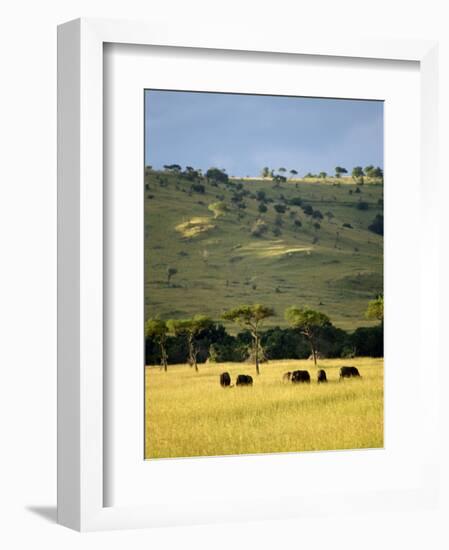 Masai Mara National Reserve, Kenya, East Africa, Africa-Harding Robert-Framed Photographic Print