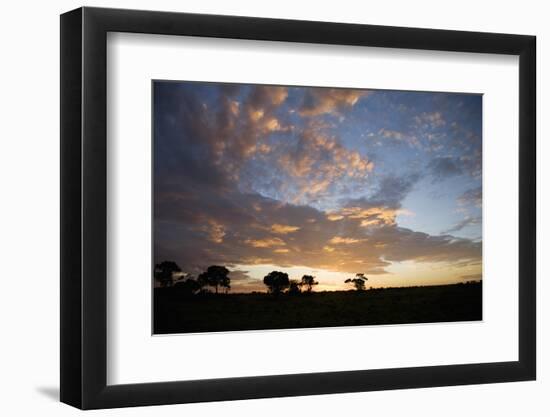 Masai Mara National Reserve, Kenya, East Africa, Africa-Angelo Cavalli-Framed Photographic Print