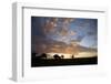 Masai Mara National Reserve, Kenya, East Africa, Africa-Angelo Cavalli-Framed Photographic Print