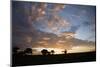 Masai Mara National Reserve, Kenya, East Africa, Africa-Angelo Cavalli-Mounted Photographic Print