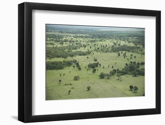 Masai Mara National Reserve, Kenya, East Africa, Africa-Angelo Cavalli-Framed Photographic Print