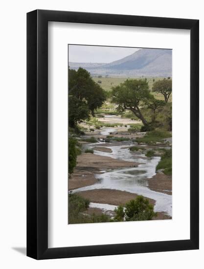 Masai Mara National Reserve, Kenya, East Africa, Africa-Angelo Cavalli-Framed Photographic Print