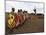 Masai, Masai Mara, Kenya, East Africa, Africa-Sergio Pitamitz-Mounted Photographic Print