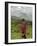 Masai, Ngorongoro Conservation Area, UNESCO World Heritage Site, Tanzania, East Africa, Africa-Groenendijk Peter-Framed Photographic Print