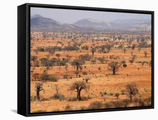 Masai Steppe, Near Arusha, Tanzania, East Africa, Africa-null-Framed Stretched Canvas