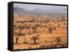 Masai Steppe, Near Arusha, Tanzania, East Africa, Africa-null-Framed Stretched Canvas