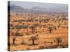 Masai Steppe, Near Arusha, Tanzania, East Africa, Africa-null-Stretched Canvas