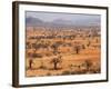 Masai Steppe, Near Arusha, Tanzania, East Africa, Africa-null-Framed Photographic Print