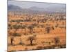 Masai Steppe, Near Arusha, Tanzania, East Africa, Africa-null-Mounted Photographic Print