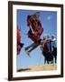 Masai Warriors Perform Jumping Dance, Masai Mara National Park, Kenya, East Africa, Africa-D H Webster-Framed Photographic Print