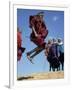 Masai Warriors Perform Jumping Dance, Masai Mara National Park, Kenya, East Africa, Africa-D H Webster-Framed Photographic Print