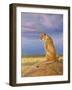 Masai Watch-Graeme Stevenson-Framed Giclee Print