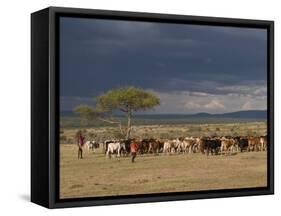 Masai with Cattle, Masai Mara, Kenya, East Africa, Africa-Sergio Pitamitz-Framed Stretched Canvas