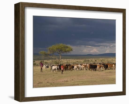 Masai with Cattle, Masai Mara, Kenya, East Africa, Africa-Sergio Pitamitz-Framed Photographic Print