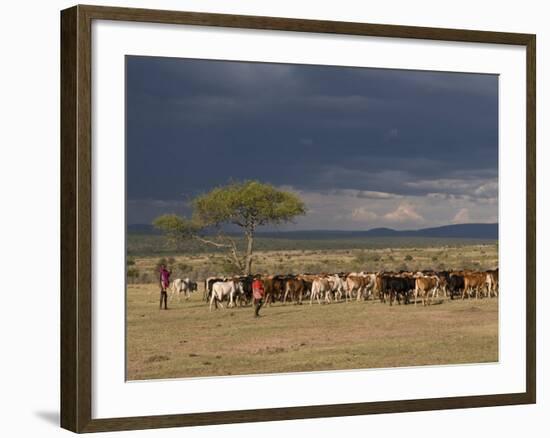 Masai with Cattle, Masai Mara, Kenya, East Africa, Africa-Sergio Pitamitz-Framed Photographic Print