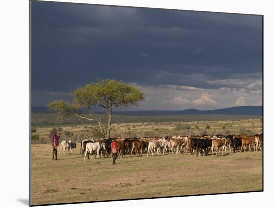 Masai with Cattle, Masai Mara, Kenya, East Africa, Africa-Sergio Pitamitz-Mounted Photographic Print