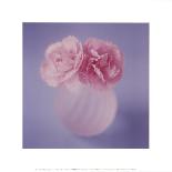 Carnations-Masao Ota-Laminated Art Print