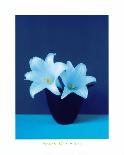 Lilies-Masao Ota-Mounted Art Print