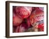 Masaya, Mercado Artesanias, National Artisans Market, Maracas, Nicaragua-Jane Sweeney-Framed Photographic Print