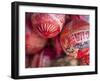 Masaya, Mercado Artesanias, National Artisans Market, Maracas, Nicaragua-Jane Sweeney-Framed Photographic Print