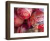 Masaya, Mercado Artesanias, National Artisans Market, Maracas, Nicaragua-Jane Sweeney-Framed Photographic Print