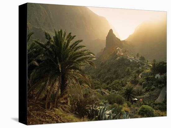 Masca, Tenerife, Canary Islands, Spain-Alan Copson-Stretched Canvas