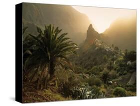 Masca, Tenerife, Canary Islands, Spain-Alan Copson-Stretched Canvas