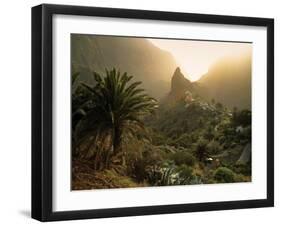 Masca, Tenerife, Canary Islands, Spain-Alan Copson-Framed Photographic Print