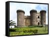 Maschio Angioino Castle (Castel Nuovo), Naples, Campania, Italy, Europe-Vincenzo Lombardo-Framed Stretched Canvas