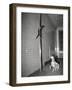 Mascot Slides down Pole to Dalmation-null-Framed Photographic Print