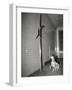 Mascot Slides down Pole to Dalmation-null-Framed Photographic Print