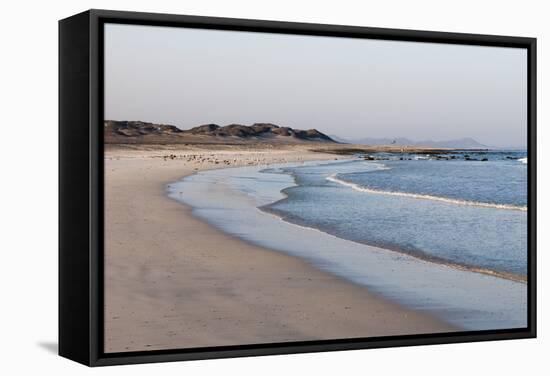 Masirah Island, Oman, Middle East-Sergio Pitamitz-Framed Stretched Canvas