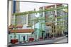 Masjid Jamae (Chulia) Mosque in South Bridge Road, Chinatown, Singapore, Southeast Asia, Asia-Fraser Hall-Mounted Photographic Print