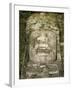 Mask 4M High, Structure P9-56, Lamanai, Belize, Central America-Upperhall-Framed Photographic Print
