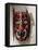 Mask of a Deer Used by the Mayo Peoples of the Sonora and Sinalo States of Mexico-Mexican School-Framed Stretched Canvas