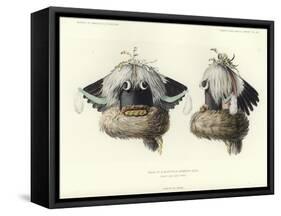 Mask of a Sayathlia-null-Framed Stretched Canvas