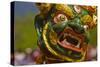 Mask of Dancer at Religious Festivity with Many Visitors, Paro Tsechu, Bhutan, Asia-Michael Runkel-Stretched Canvas