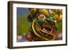 Mask of Dancer at Religious Festivity with Many Visitors, Paro Tsechu, Bhutan, Asia-Michael Runkel-Framed Photographic Print