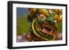 Mask of Dancer at Religious Festivity with Many Visitors, Paro Tsechu, Bhutan, Asia-Michael Runkel-Framed Photographic Print