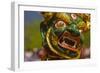 Mask of Dancer at Religious Festivity with Many Visitors, Paro Tsechu, Bhutan, Asia-Michael Runkel-Framed Photographic Print