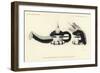 Mask of Sayatasha-null-Framed Giclee Print