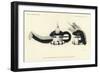 Mask of Sayatasha-null-Framed Giclee Print