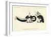 Mask of Sayatasha-null-Framed Giclee Print