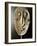 Mask-null-Framed Photographic Print