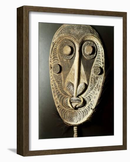 Mask-null-Framed Photographic Print