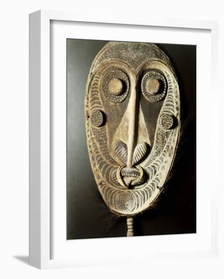 Mask-null-Framed Photographic Print