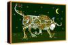 Masked Bull-Teofilo Olivieri-Stretched Canvas